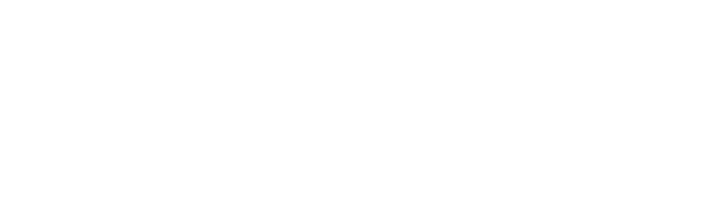 Flysim